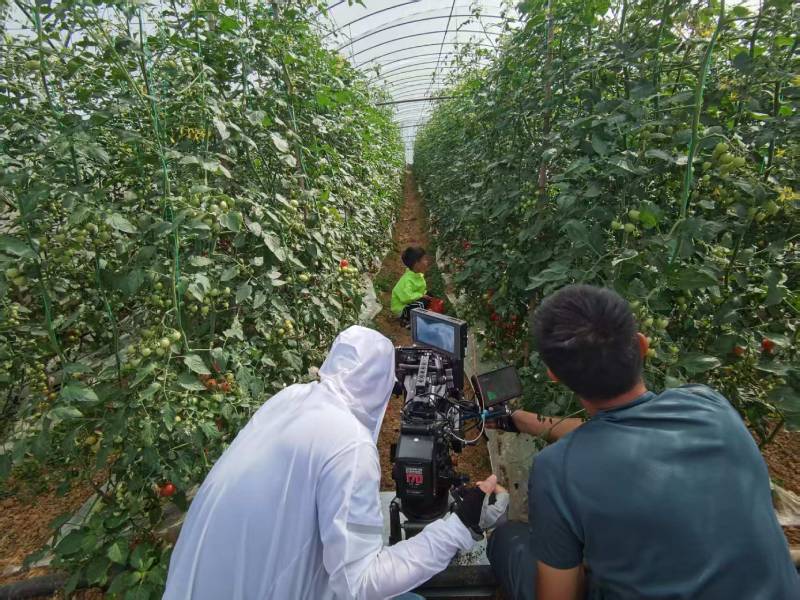 宝鸡产品宣传视频拍摄公司进阶指南，助力品牌抢占传播高地